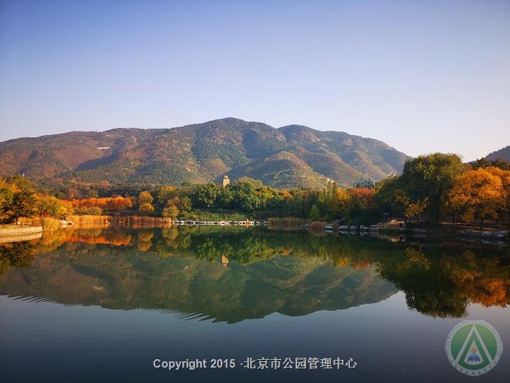 北京植物园·秋日画境