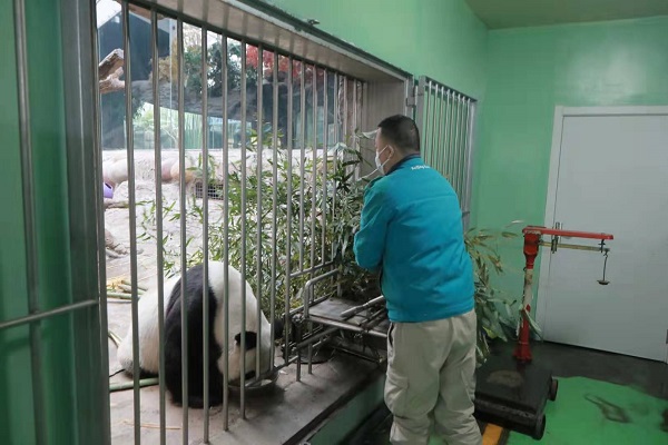北京动物园加强动物饲养环境管理