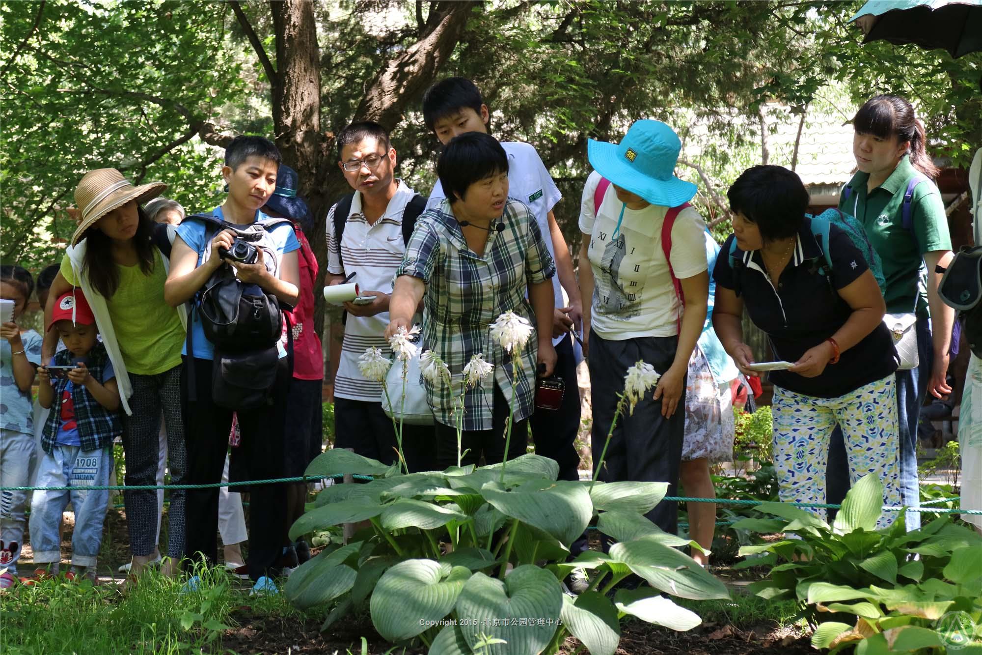 北京植物园专家带您识花草 北京植物园专家带您识花草