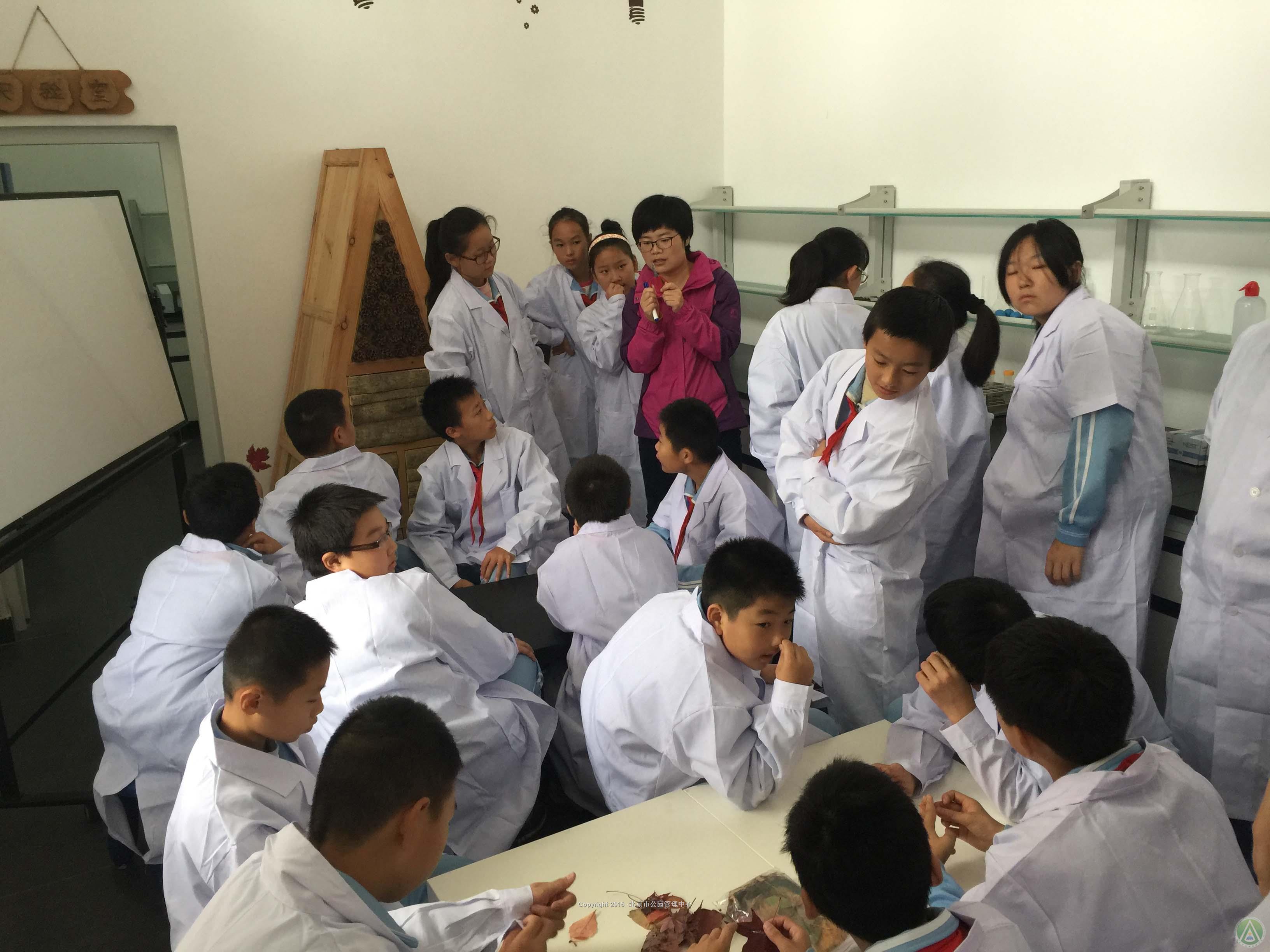 香山公园“红叶探秘”科学探索实验室 香山公园“红叶探秘”科学探索实验室