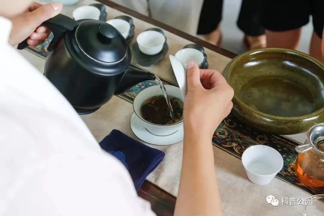 活动主题：品茗知礼 园林茶文化科普教学展示.png