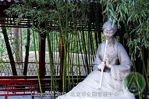 箫声醉月