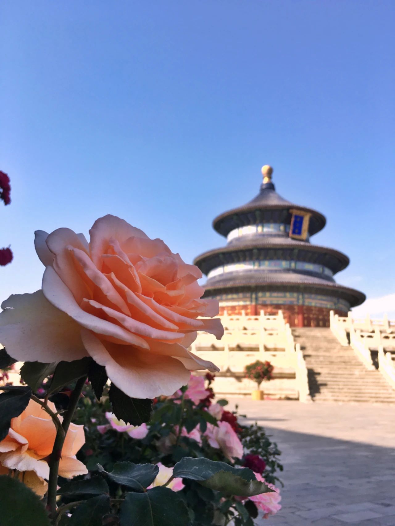 祈年殿与天坛.jpg