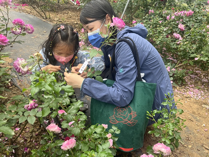 了解园艺植物培育的科学方法