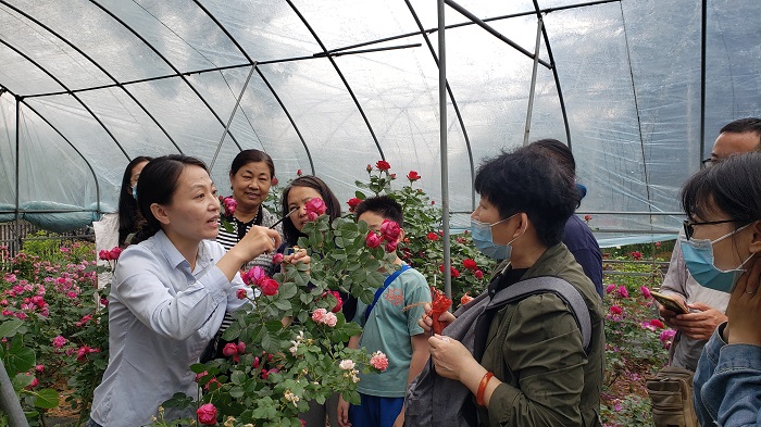 了解园艺植物培育的科学方法