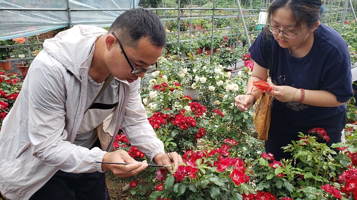 了解园艺植物培育的科学方法