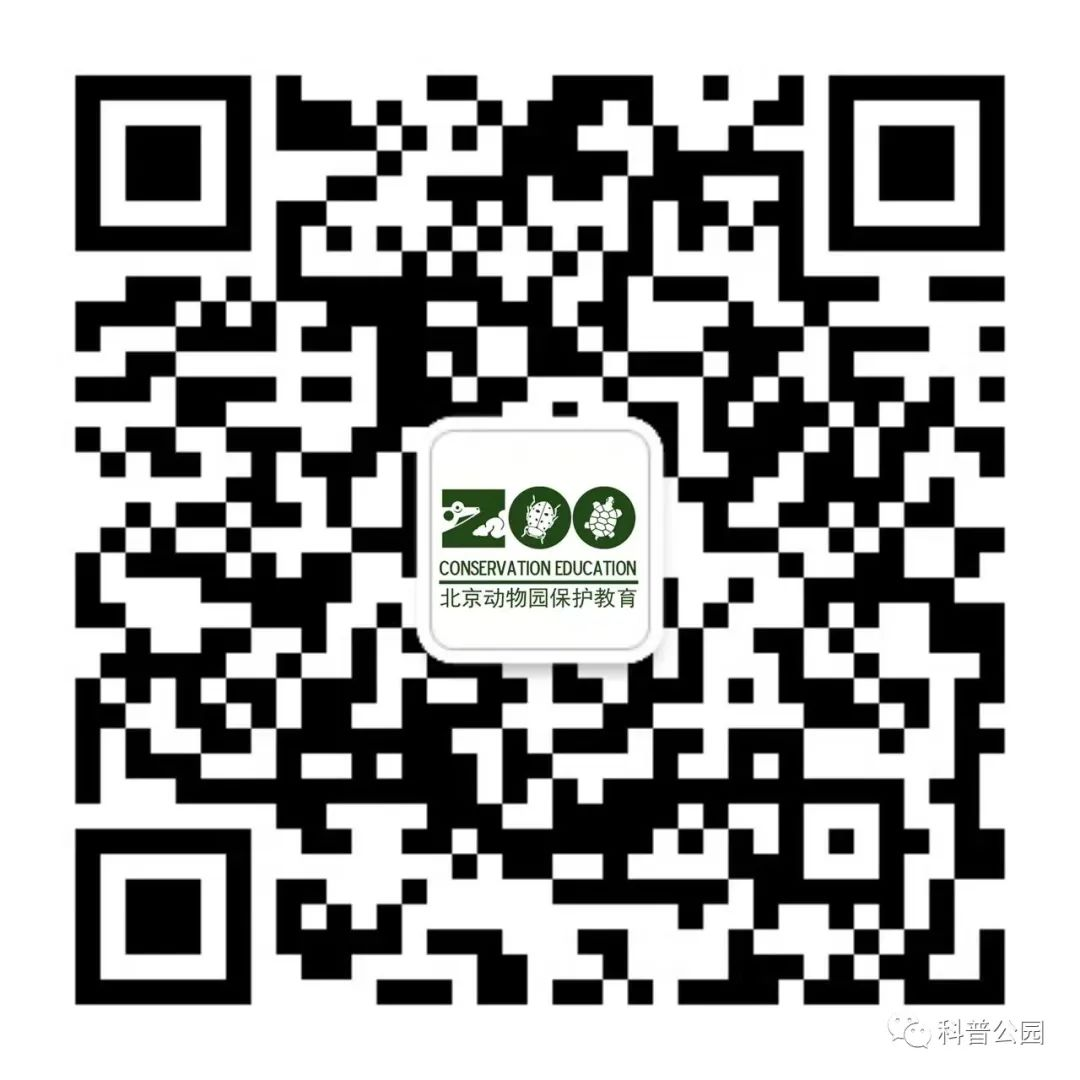 图片 28.png