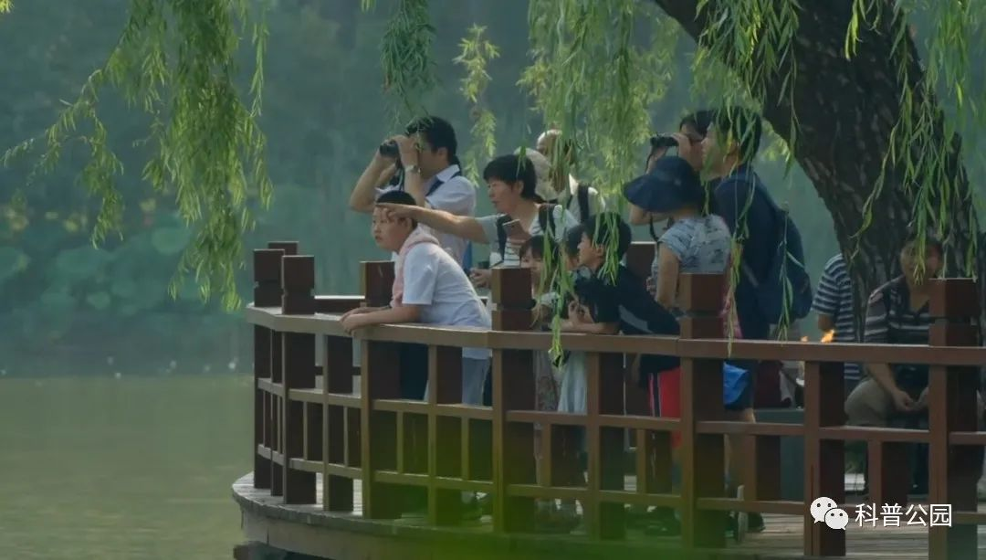 图片 41.png