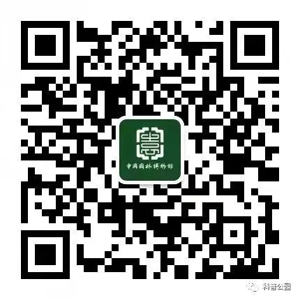图片 50.png