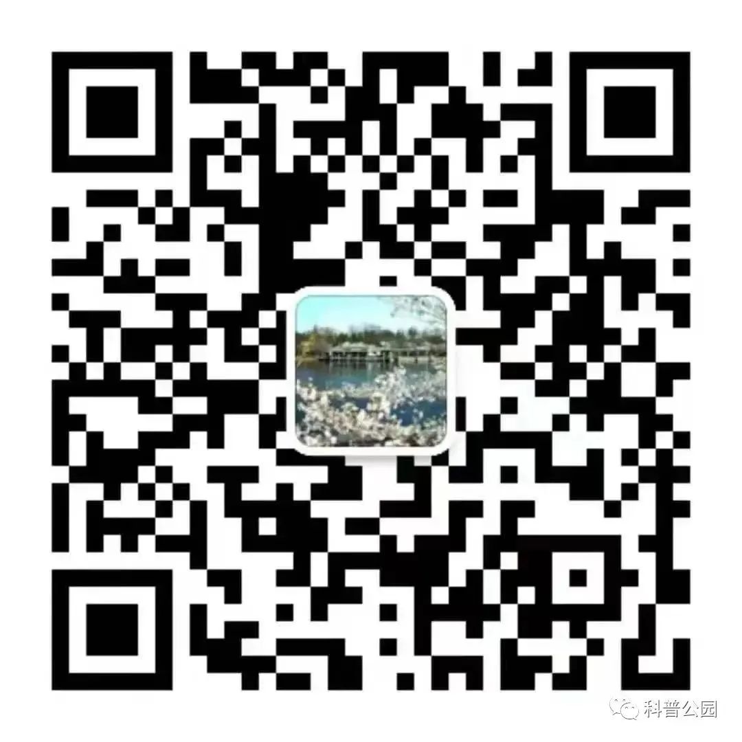 “北京市玉渊潭公园”微信公众号.jpg “北京市玉渊潭公园”微信公众号.jpg