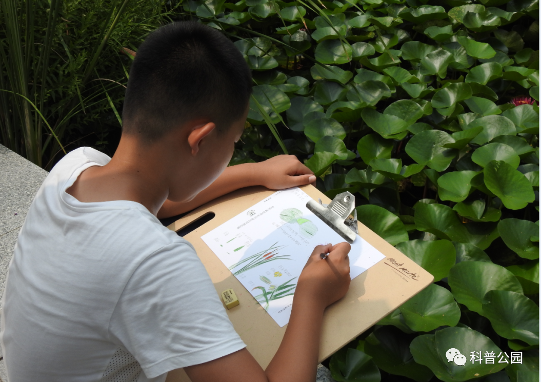 “走进湿地 记录美好”自然笔记活动.png “走进湿地 记录美好”自然笔记活动.png