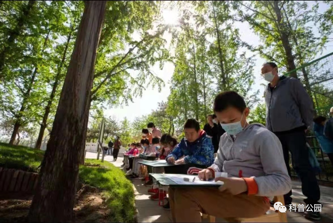 “寻找大自然的线条”自然笔记活动.png “寻找大自然的线条”自然笔记活动.png