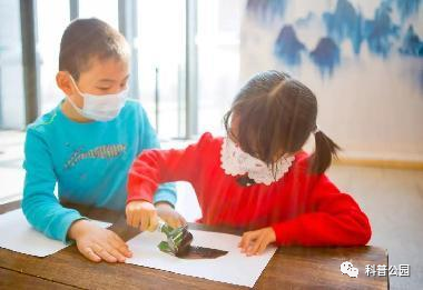 园林版画印痕美.png 园林版画印痕美.png