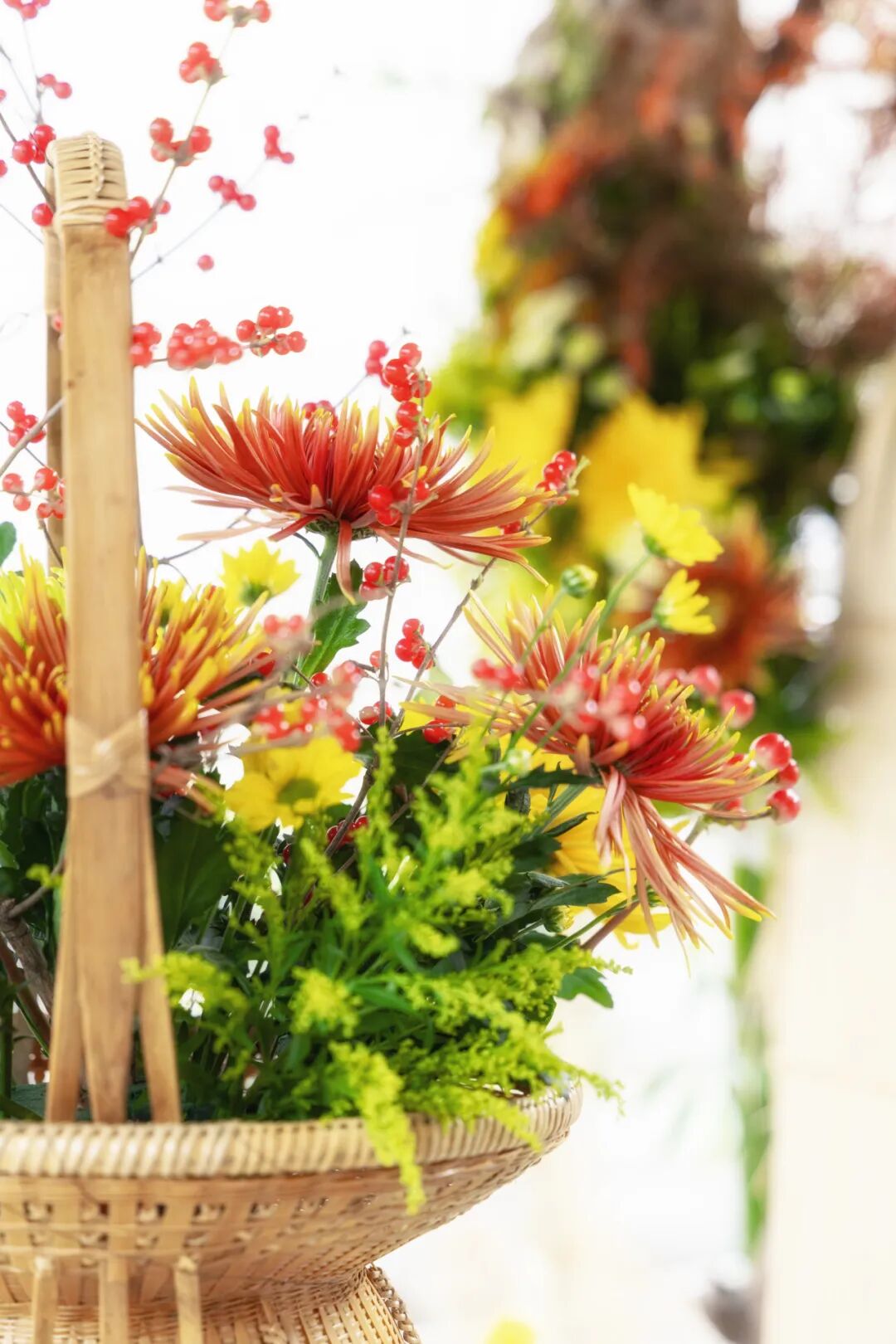 景观造景照片 景观造景照片