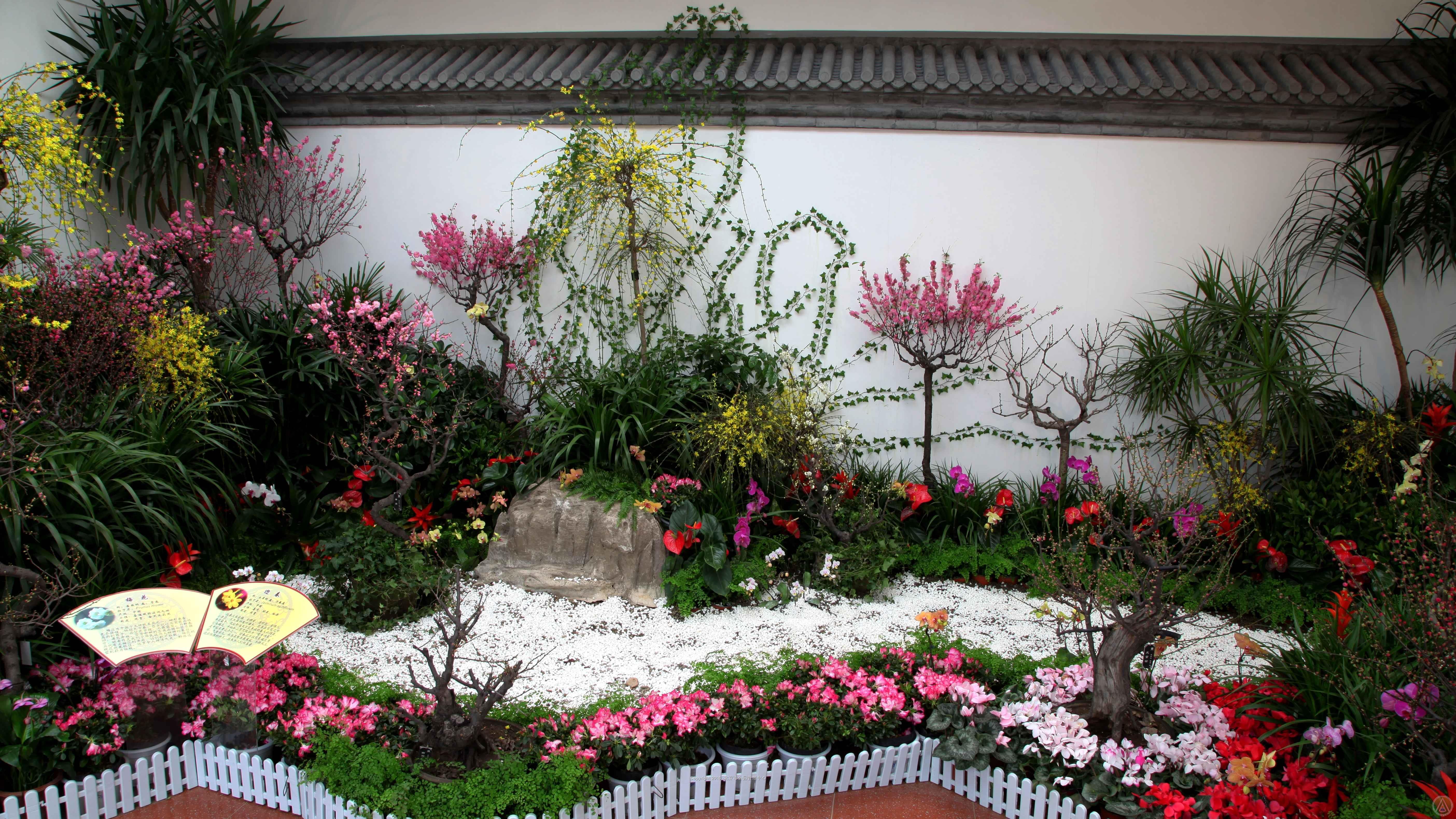 唐花坞精品花卉展-3