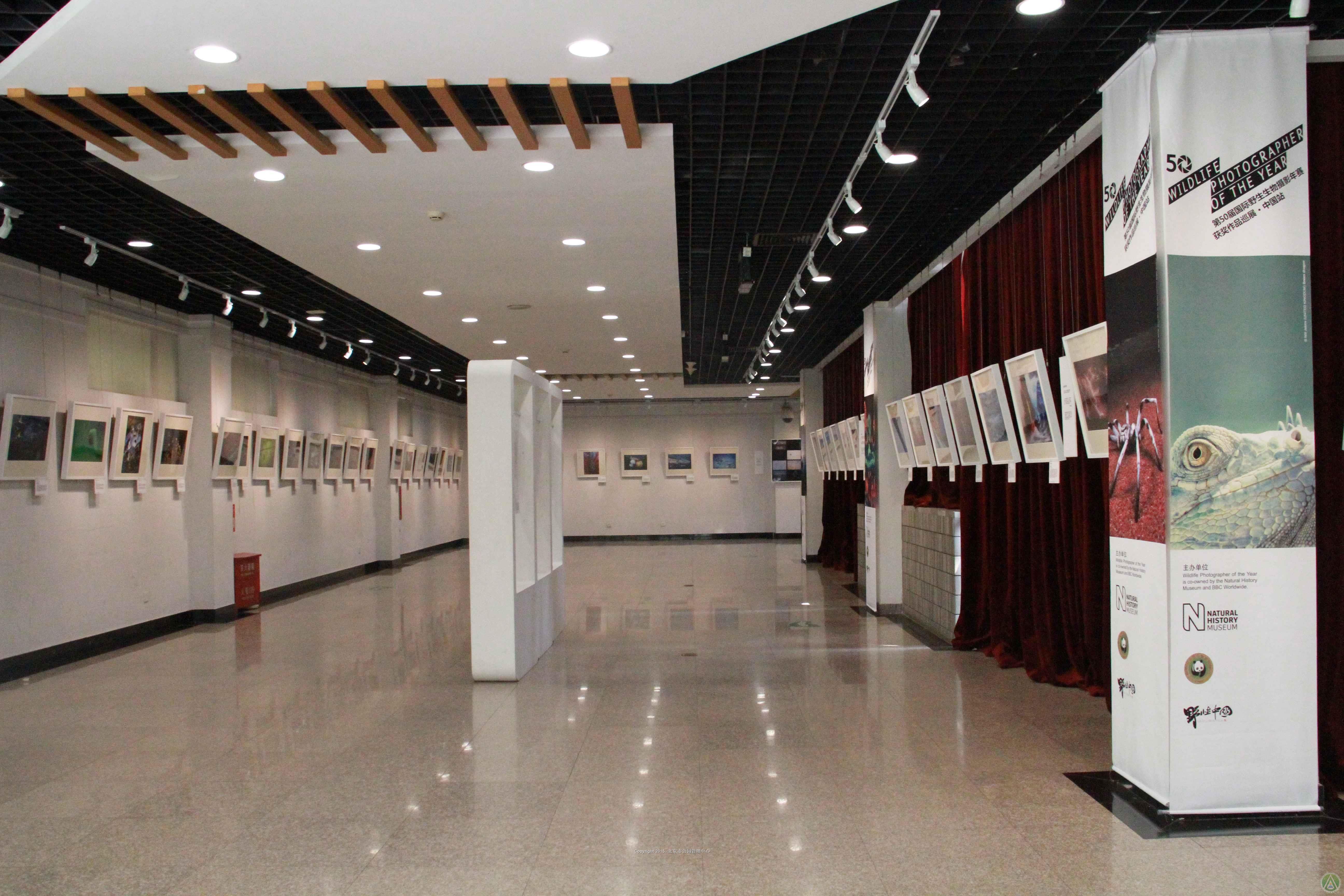 第50届国际野生生物摄影年赛获奖作品巡展