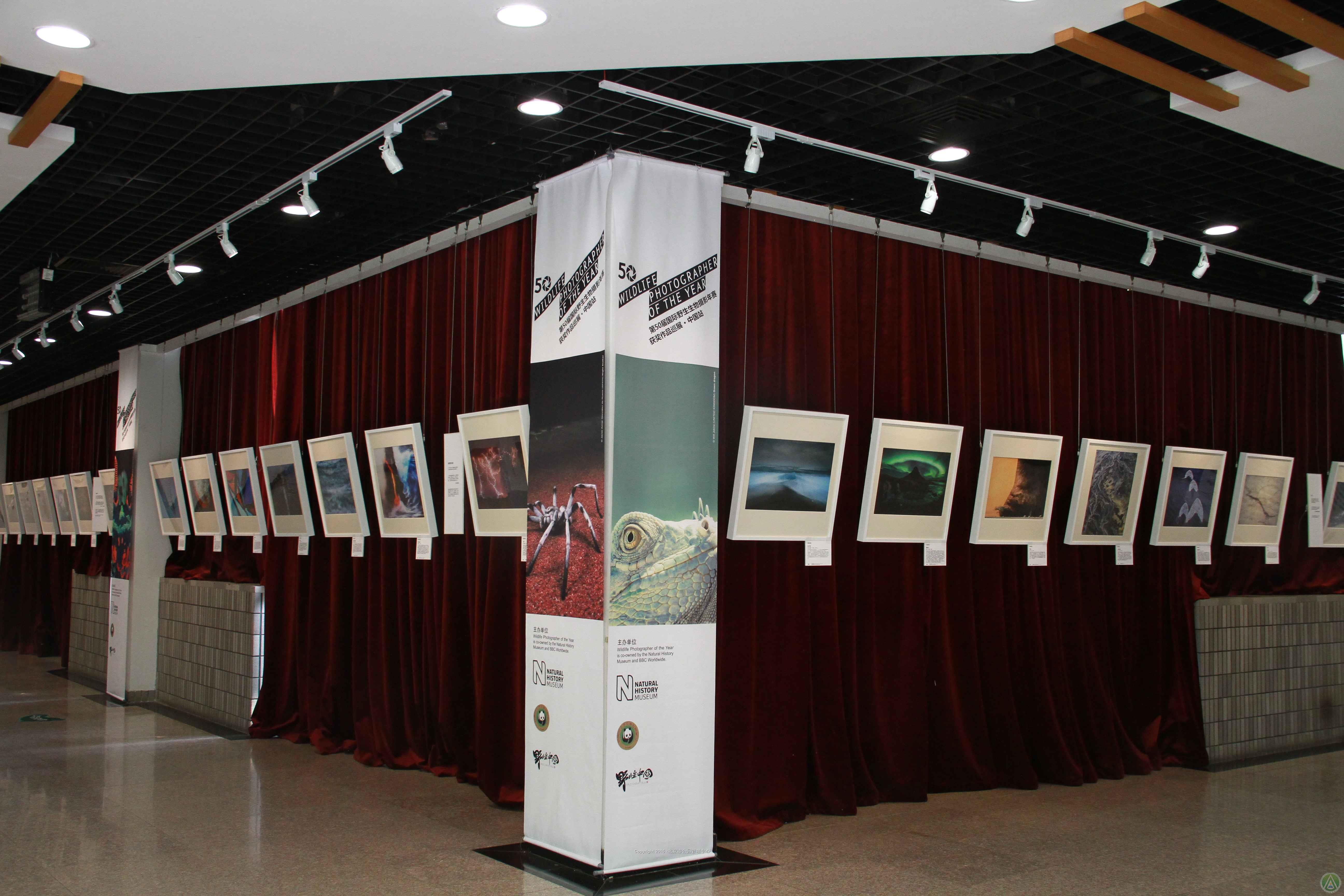 第50届国际野生生物摄影年赛获奖作品巡展