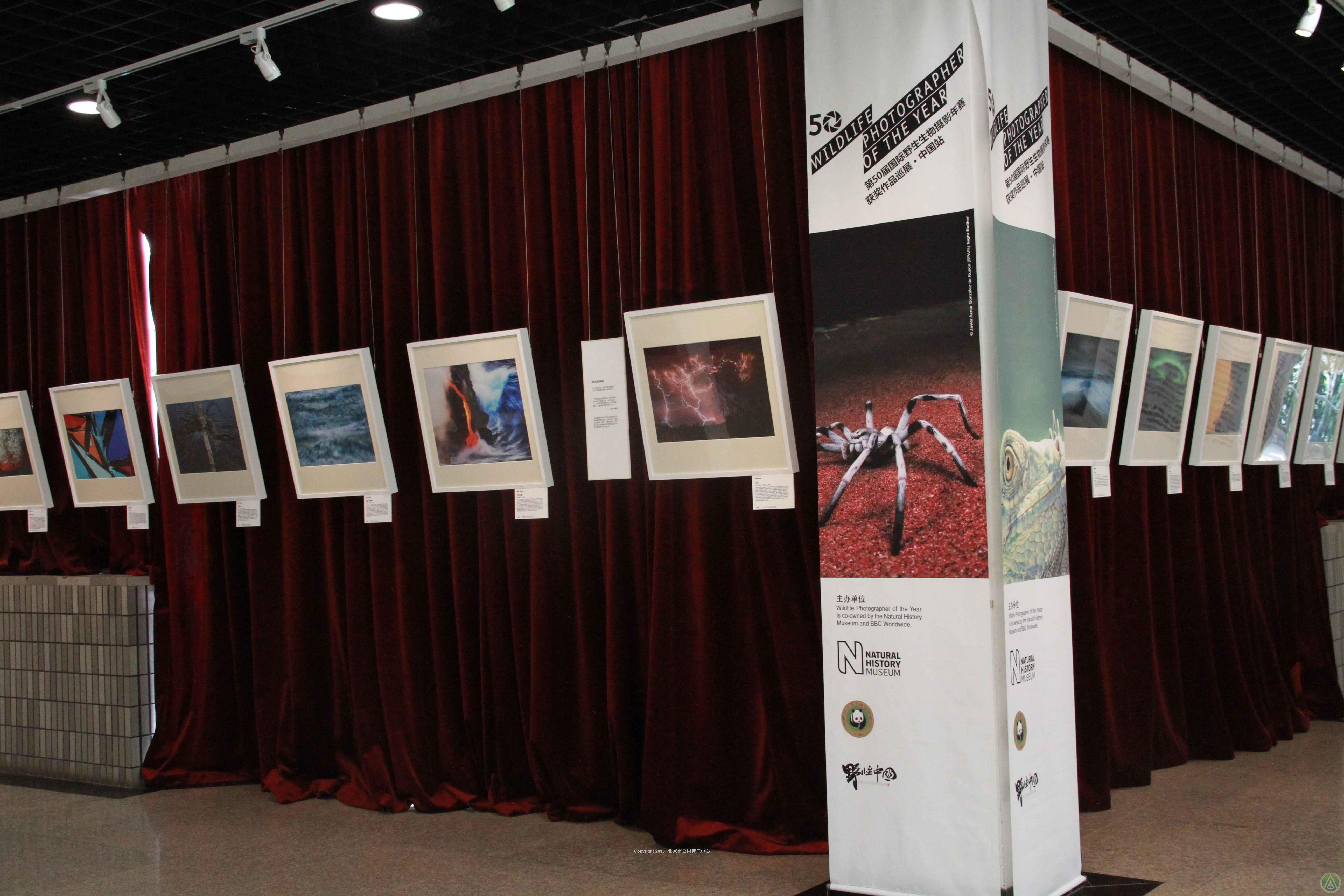 第50届国际野生生物摄影年赛获奖作品巡展