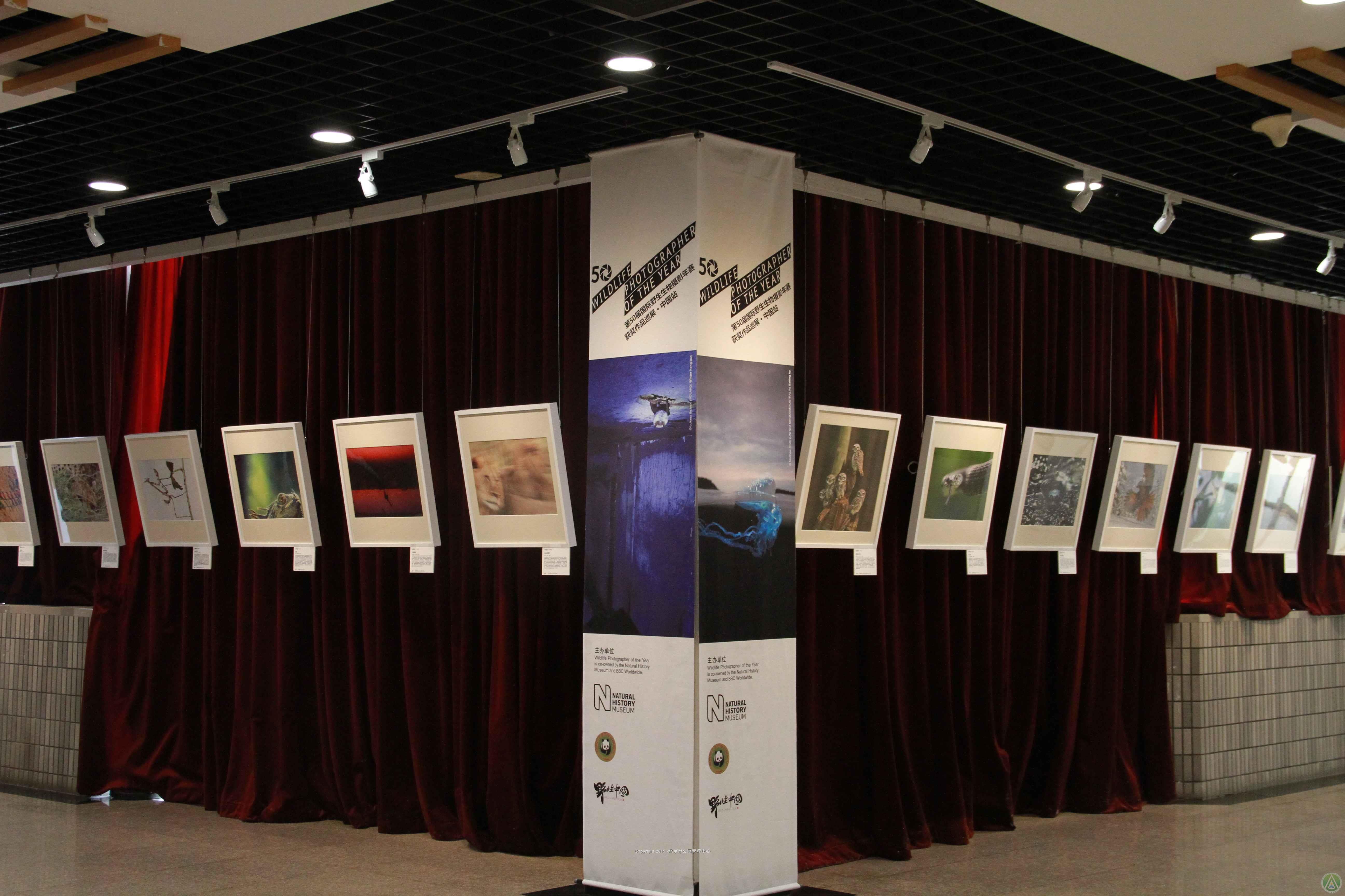 第50届国际野生生物摄影年赛获奖作品巡展