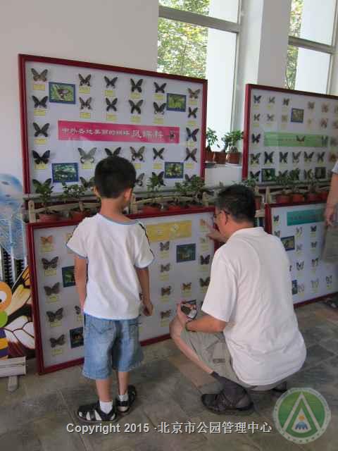 蝴蝶及昆虫展