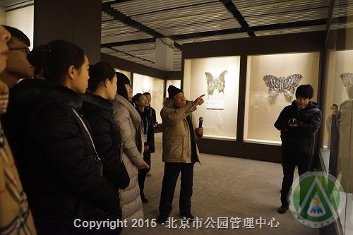 凤起中华 愛翔九天—国家级非物质文化遗产“曹氏风筝”技艺展 凤起中华 愛翔九天—国家级非物质文化遗产“曹氏风筝”技艺展