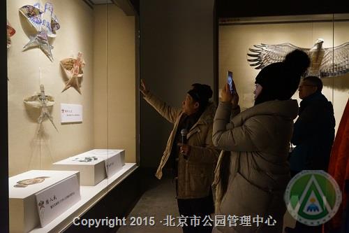 凤起中华 愛翔九天—国家级非物质文化遗产“曹氏风筝”技艺展 凤起中华 愛翔九天—国家级非物质文化遗产“曹氏风筝”技艺展