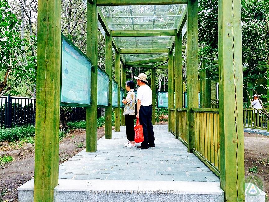 高君宇、石评梅生平事迹2