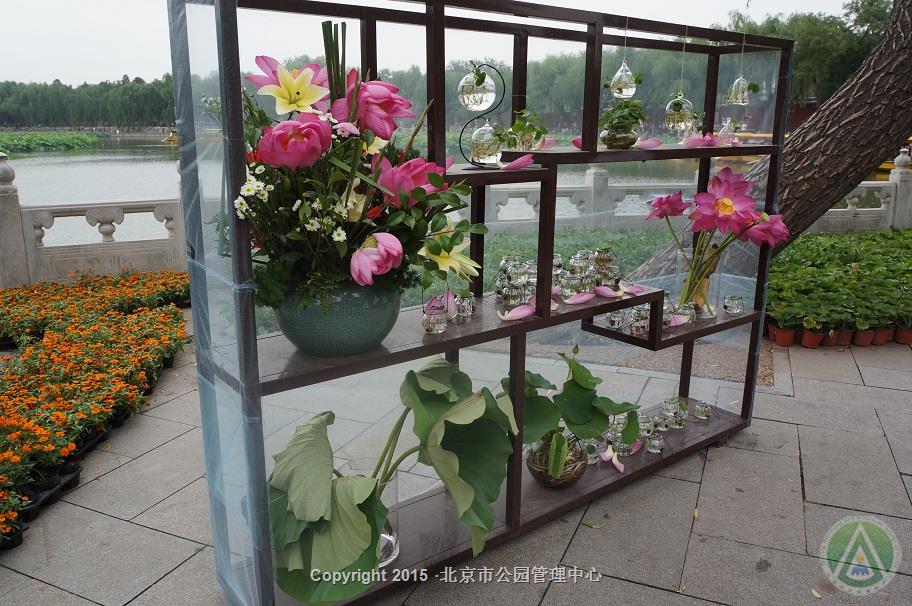 北海公园第二十届荷花文化节展北海公园第二十届荷花文化节展