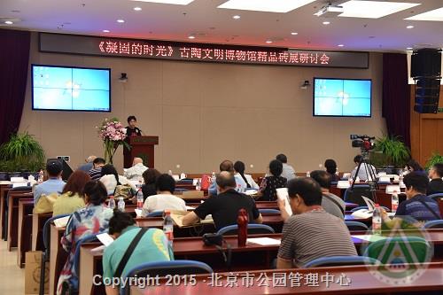 凝固的时光——古陶文明博物馆图案精品砖展