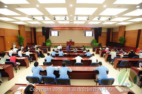 凝固的时光——古陶文明博物馆图案精品砖展