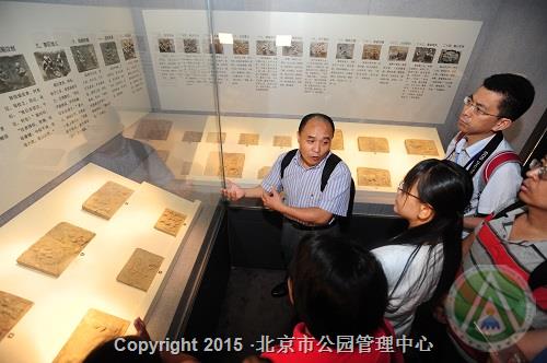 凝固的时光——古陶文明博物馆图案精品砖展