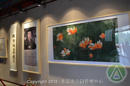 “荷韵清幽——徐金泊画展