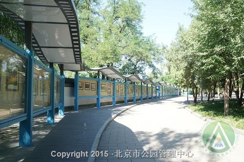 玉渊潭公园第十三届“春到玉渊潭”摄影比赛获奖作品展 玉渊潭公园第十三届“春到玉渊潭”摄影比赛获奖作品展