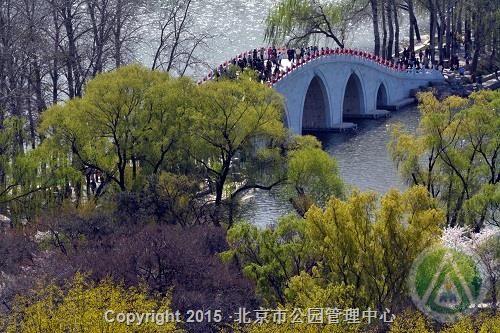 二等奖-玉带春晓-韩勇军 二等奖-玉带春晓-韩勇军