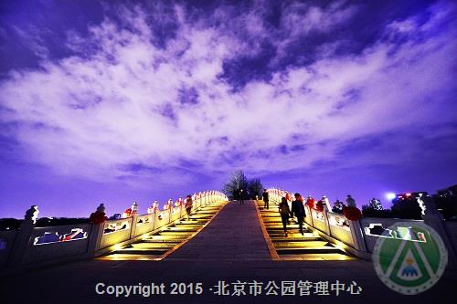 三等奖-夜色宜人-陈树成 三等奖-夜色宜人-陈树成