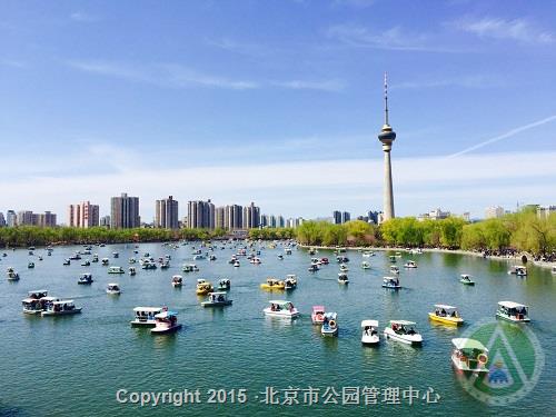 优秀奖-春·湖光春色-李科霖 优秀奖-春·湖光春色-李科霖