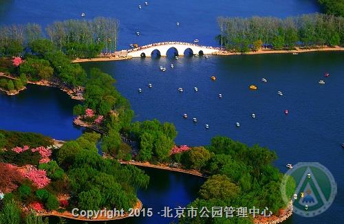 优秀奖-春风又绿玉洲岸-厉文中 优秀奖-春风又绿玉洲岸-厉文中