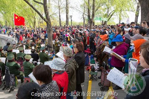 优秀奖-春天的歌声最动听-李树英 优秀奖-春天的歌声最动听-李树英