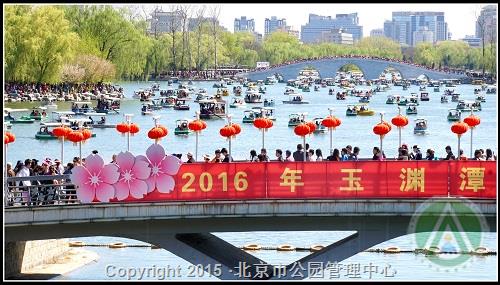优秀奖-春天中的假日-李晓晨 优秀奖-春天中的假日-李晓晨