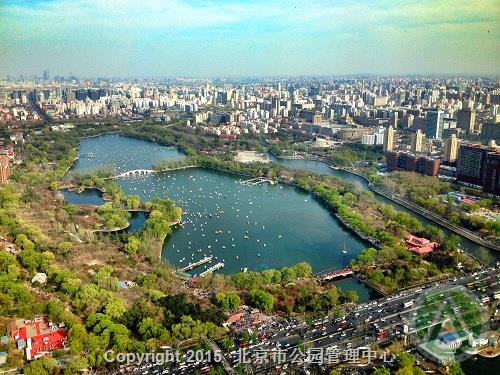 优秀奖-俯视图-邓金香 优秀奖-俯视图-邓金香