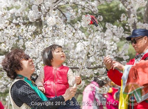 优秀奖-花开游人醉(组照2)-赵熔 优秀奖-花开游人醉(组照2)-赵熔