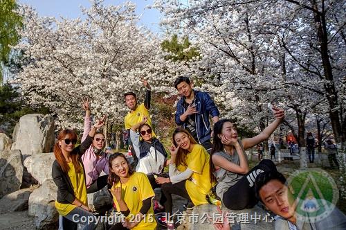 优秀奖-今个真高兴-方培兰 优秀奖-今个真高兴-方培兰