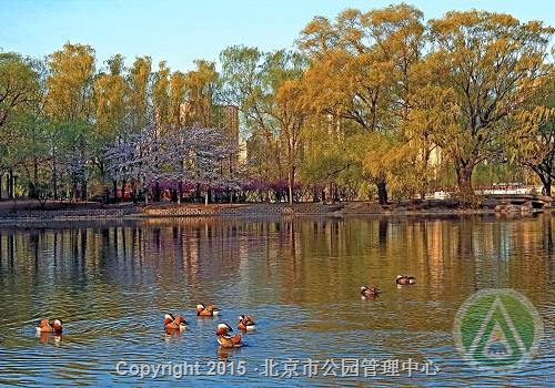 优秀奖-连心桥-赵鸿生 优秀奖-连心桥-赵鸿生