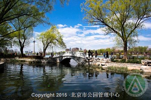 优秀奖-忙碌的志愿者-刘文贵 优秀奖-忙碌的志愿者-刘文贵