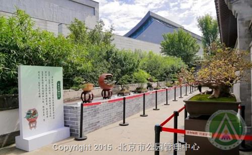 “盆玩雅趣——中国盆景艺术展”在园博馆开展
