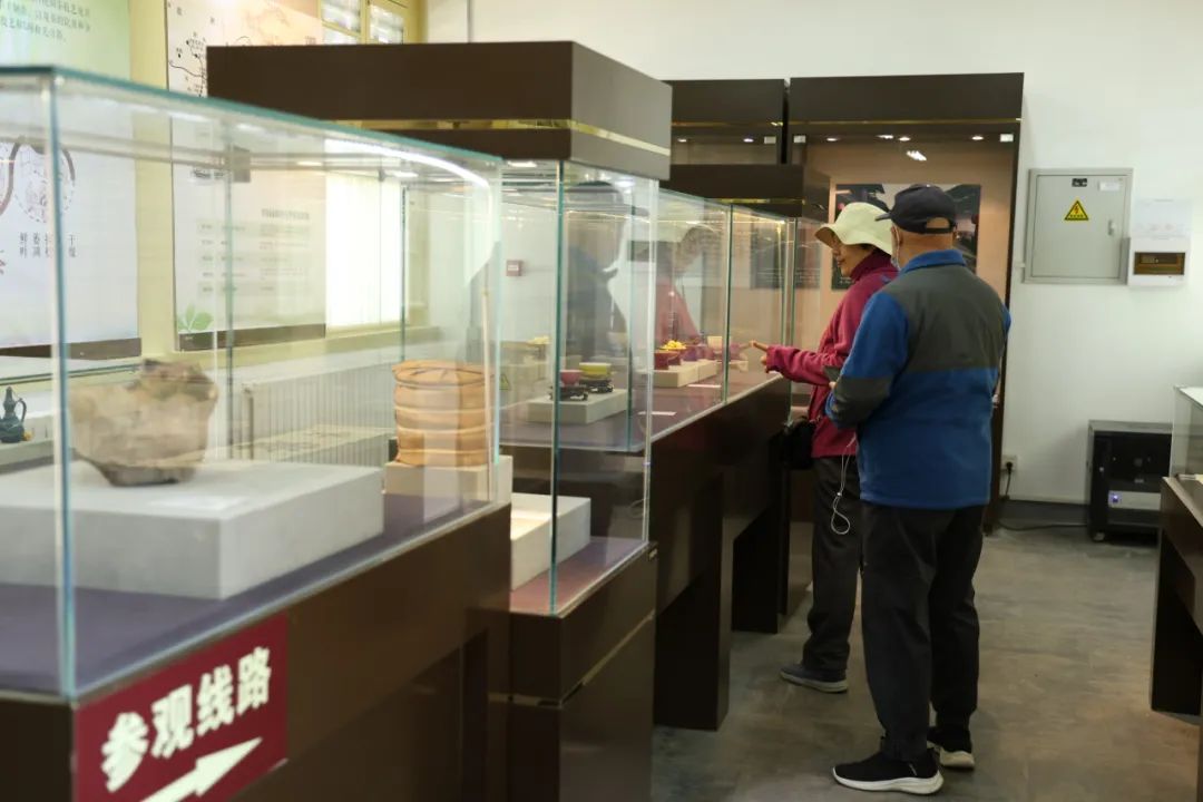 游客参观展览照片