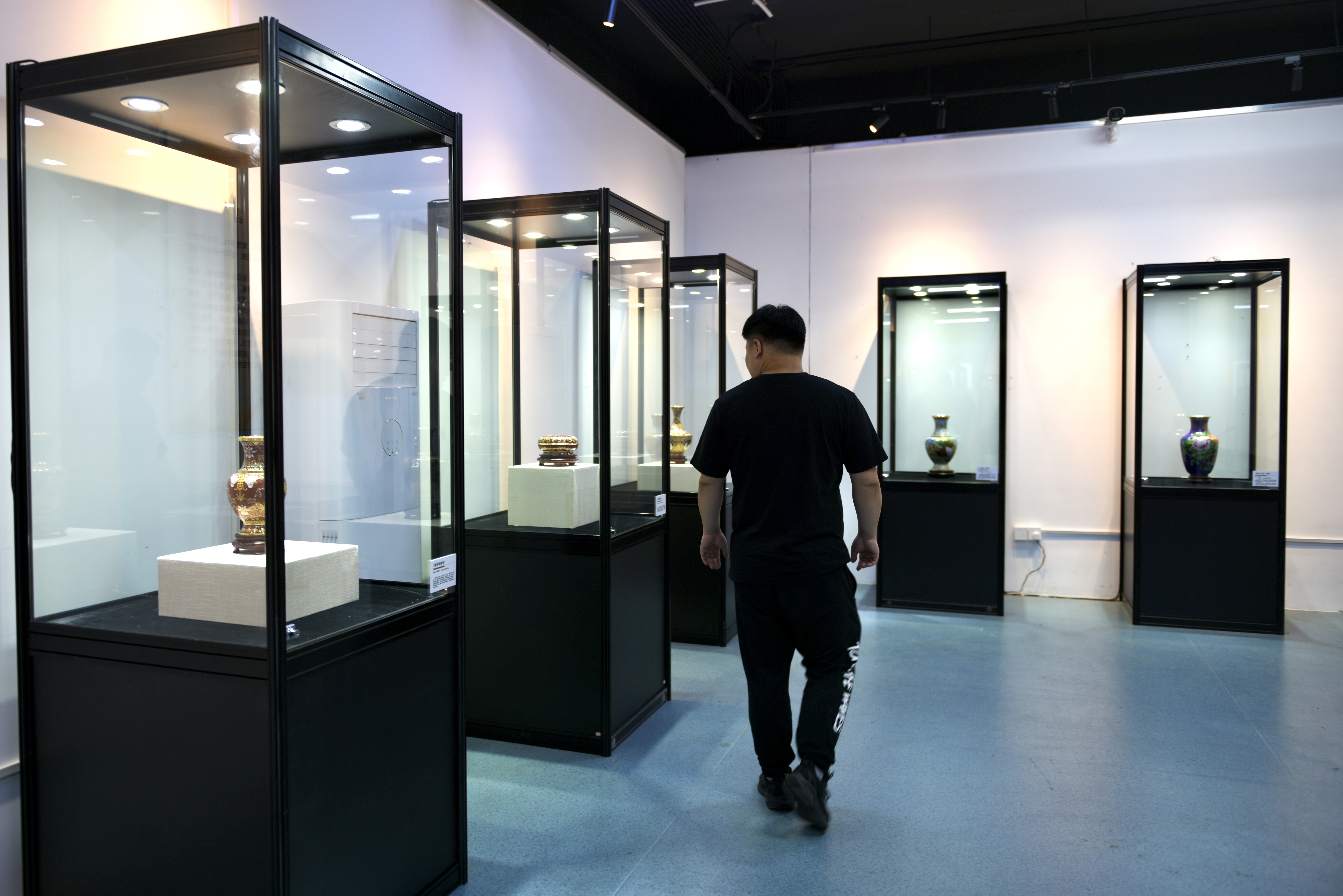 展览吸引游客驻足.jpg
