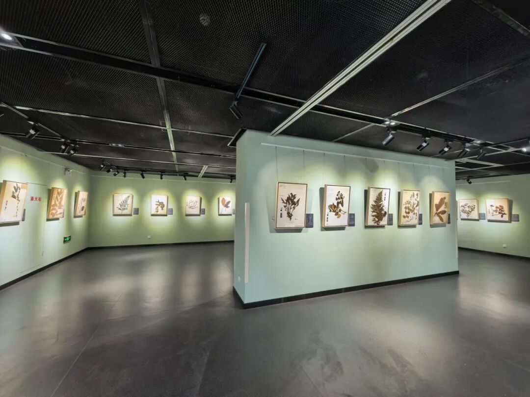 展厅局部展示照片