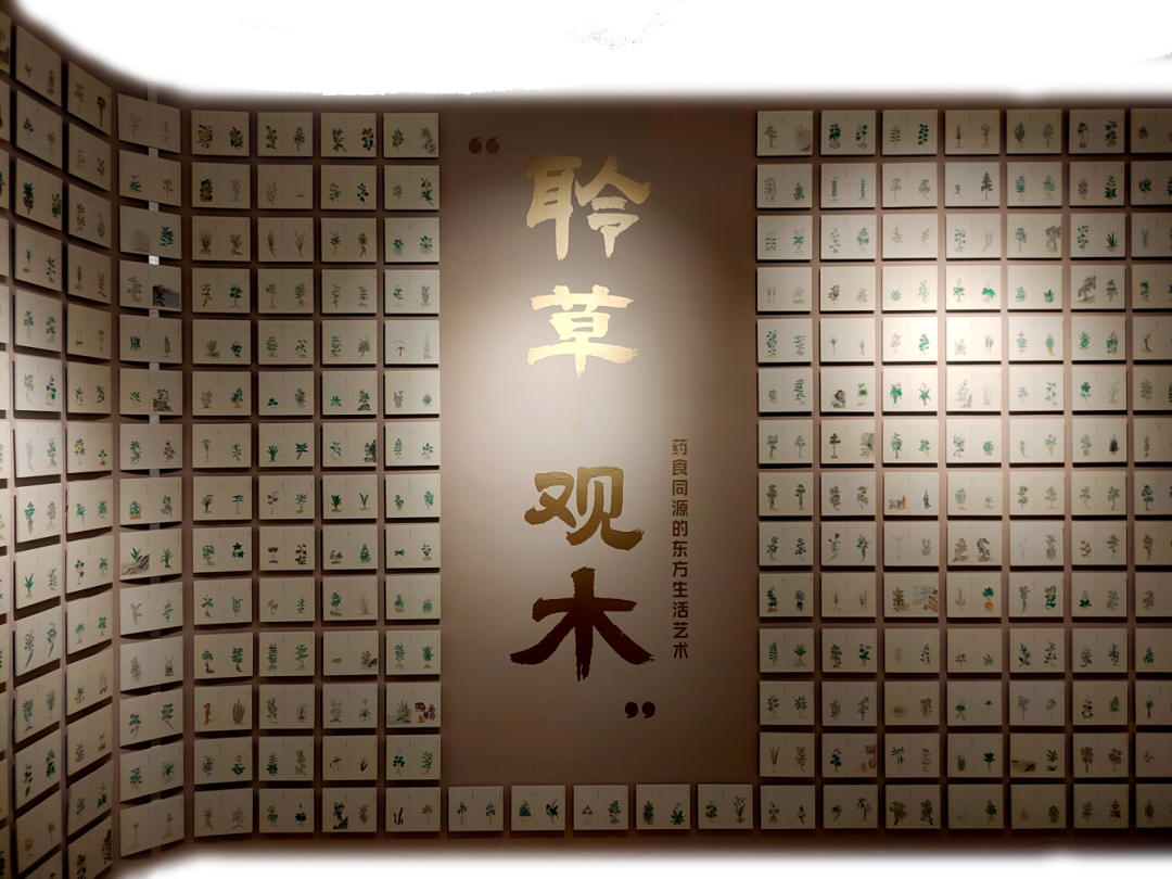 聆草·观木——药食同源的东方生活艺术