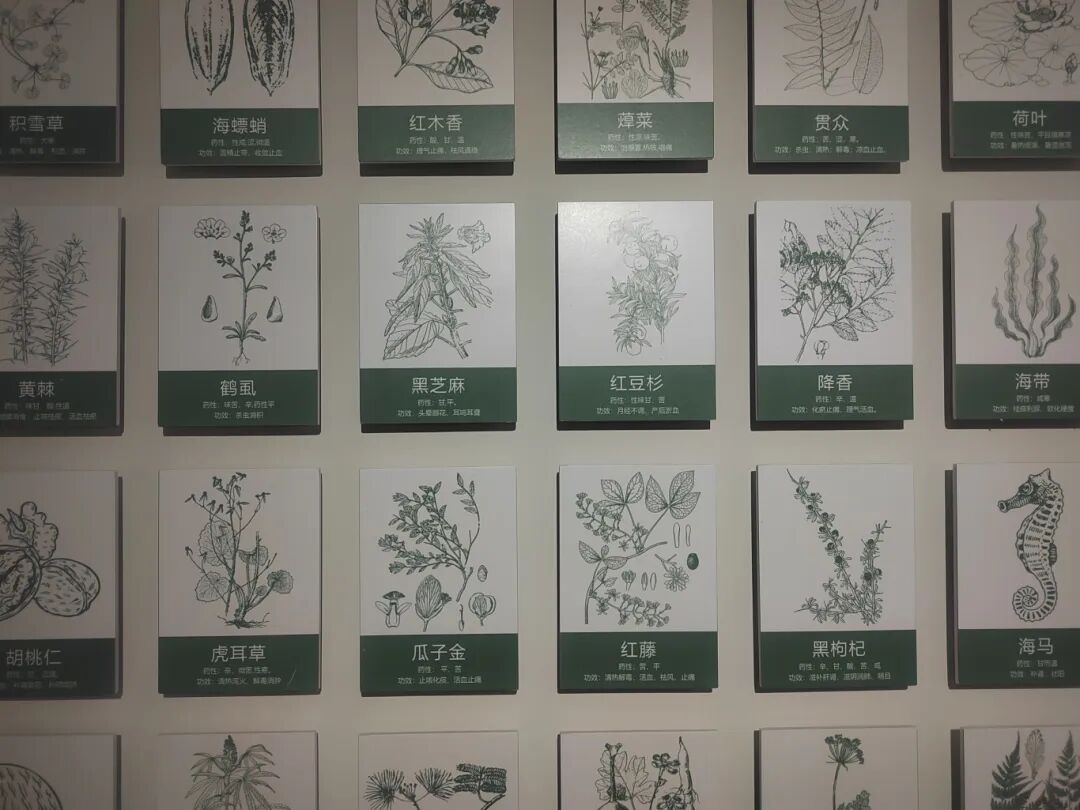 展览图片